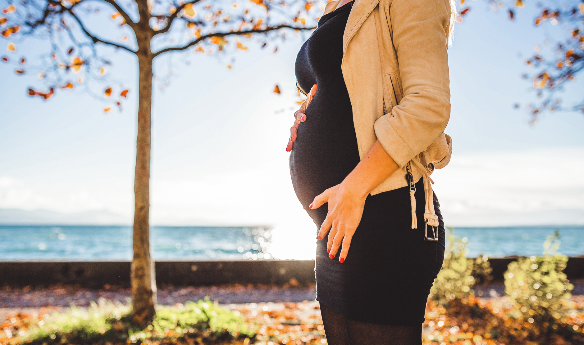 Nutrición y embarazo: requerimientos, consejos y recetas