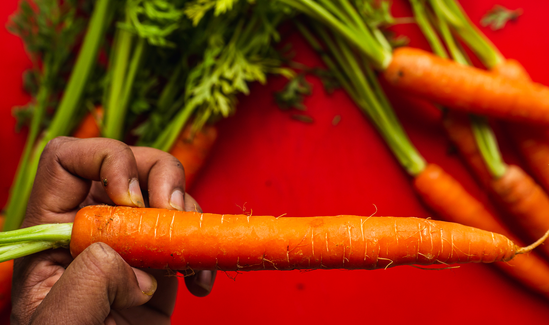 Zanahoria : beneficios y consejos para su consumo