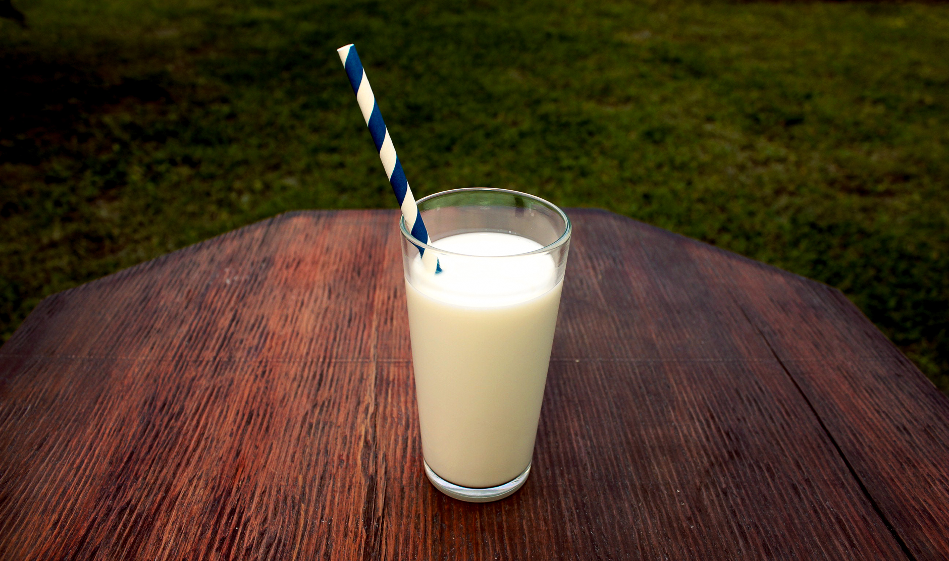 La leche y sus alternativas. ¿Qué es importante saber?